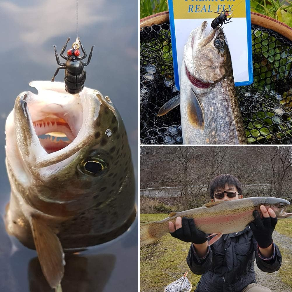 YZD Realistic Trout Hand Tie Fly Fishing Flies Collection Dry Wet Nymph Fly Assortment with Fly Box Lures Kits 12/16/18/22/36/48Pcs - Cicada Kit 12Pcs image number 5