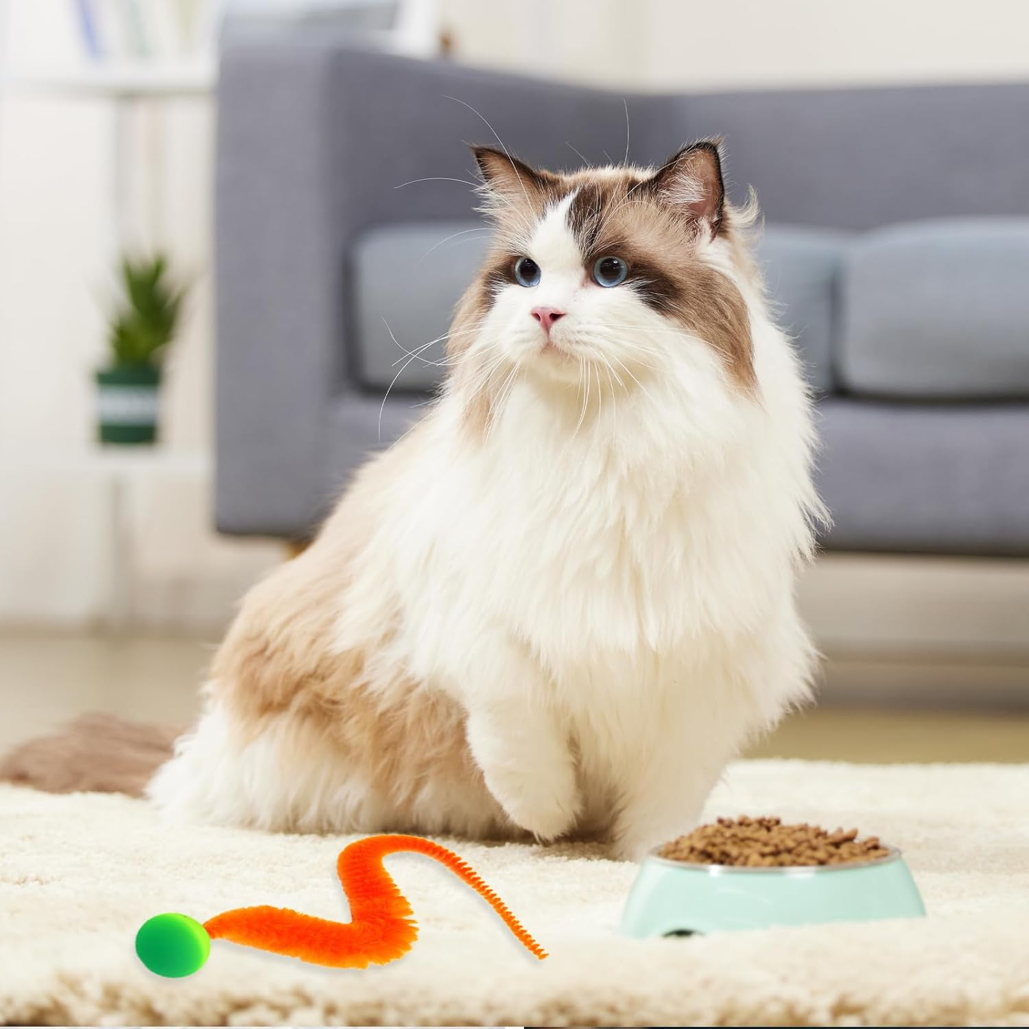 Lilbitty Interactive Toy for Cats: Colorful Bouncy Ball Game with Pom Poms for Crafts and Intelligence Toys, Provides Fun and Entertainment for Indoor Use image number 1