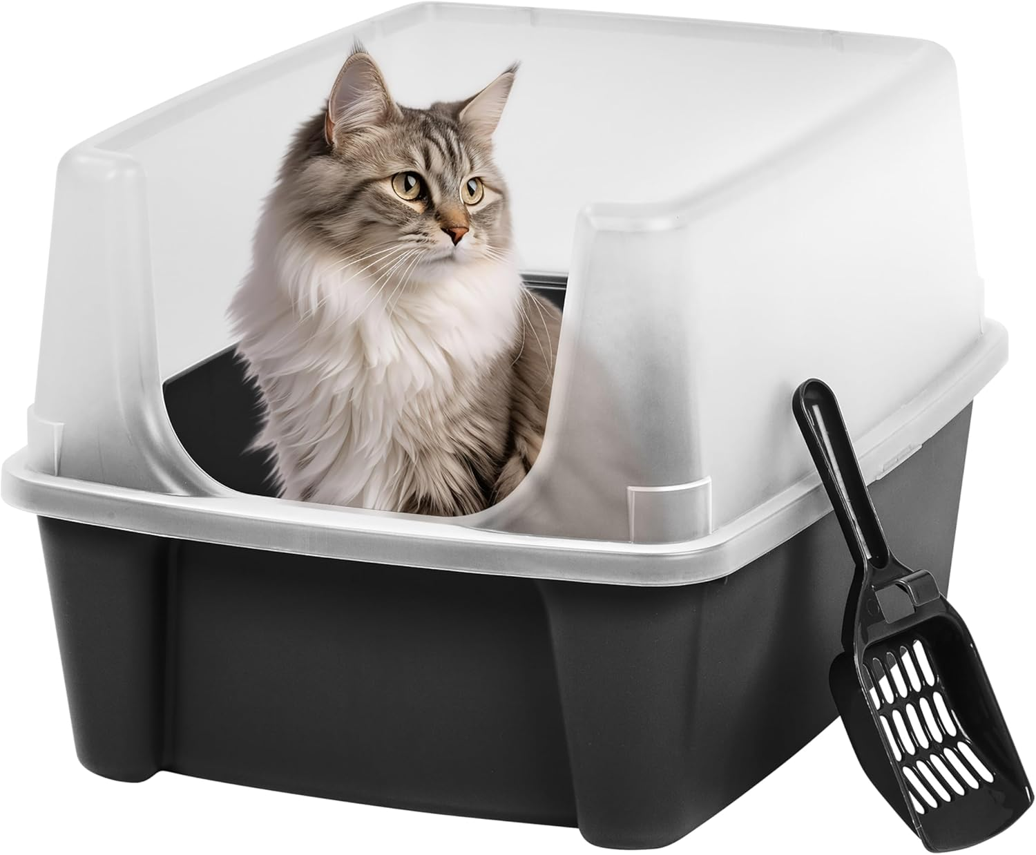 IRIS USA Large Open Top Cat Litter Tray with Scoop and Scatter Shield, Sturdy Easy to Clean Open Air Kitty Litter Pan with Tall Spray and Scatter Shield, Black
