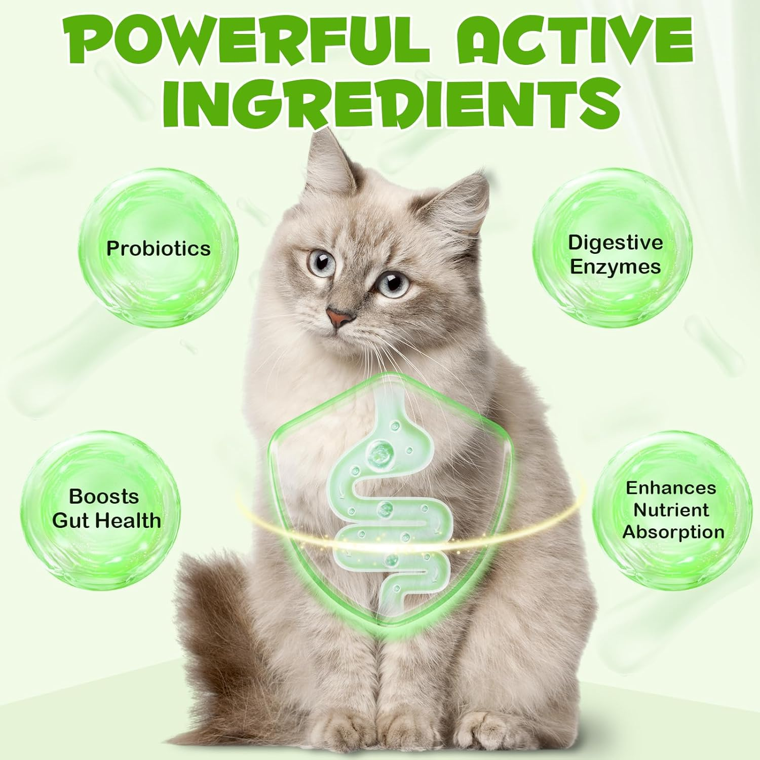 Probiotic for Cats, Natural Pet Probiotic, Pet Supplements, Supports Gut Health, Liquid Probiotic - 60 Ml / 2 Fl.Oz image number 1