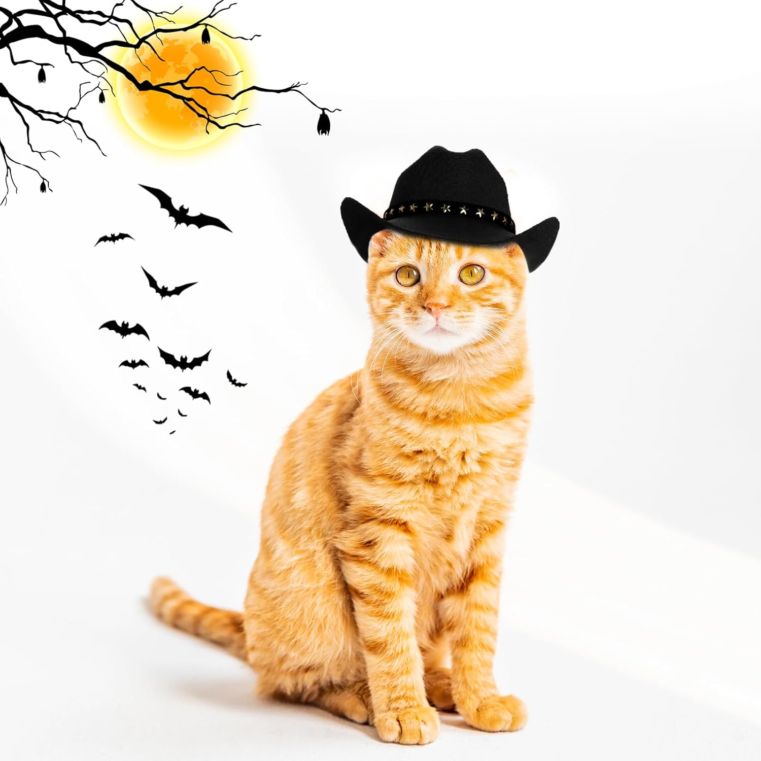 Choyaxo Pet Cowboy Costume Cosplay Cap Halloween Costumes for Dogs Cat Pet Party Decoration Mini Cowboy Hat (Black, Small) image number 4