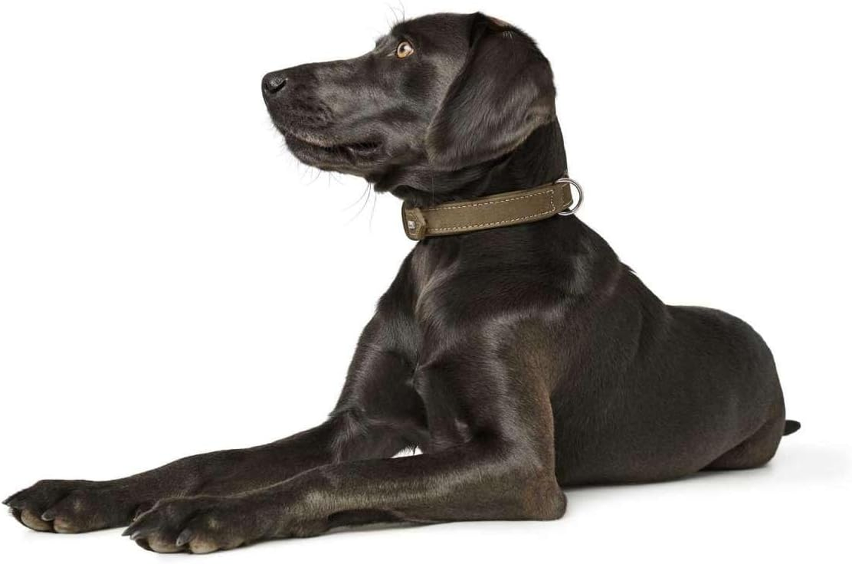 Hunter Dog Collar Hunting, 40, Olive Leather image number 3