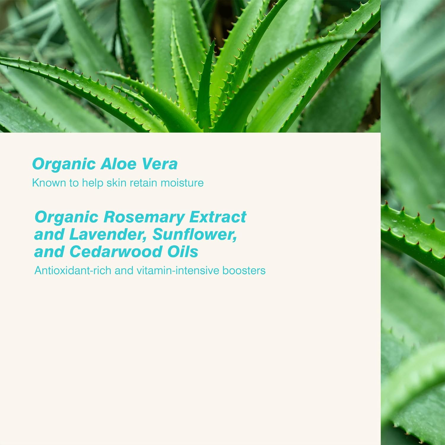 Coola ER+ Radical Recovery after Sun Lotion 180 Ml image number 1