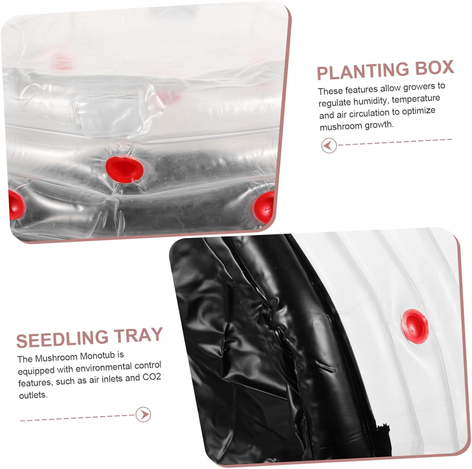 FONDOTIN Mushroom Growing Box Inflatable Planting Supply Robust Construction User-Friendly Design image number 2