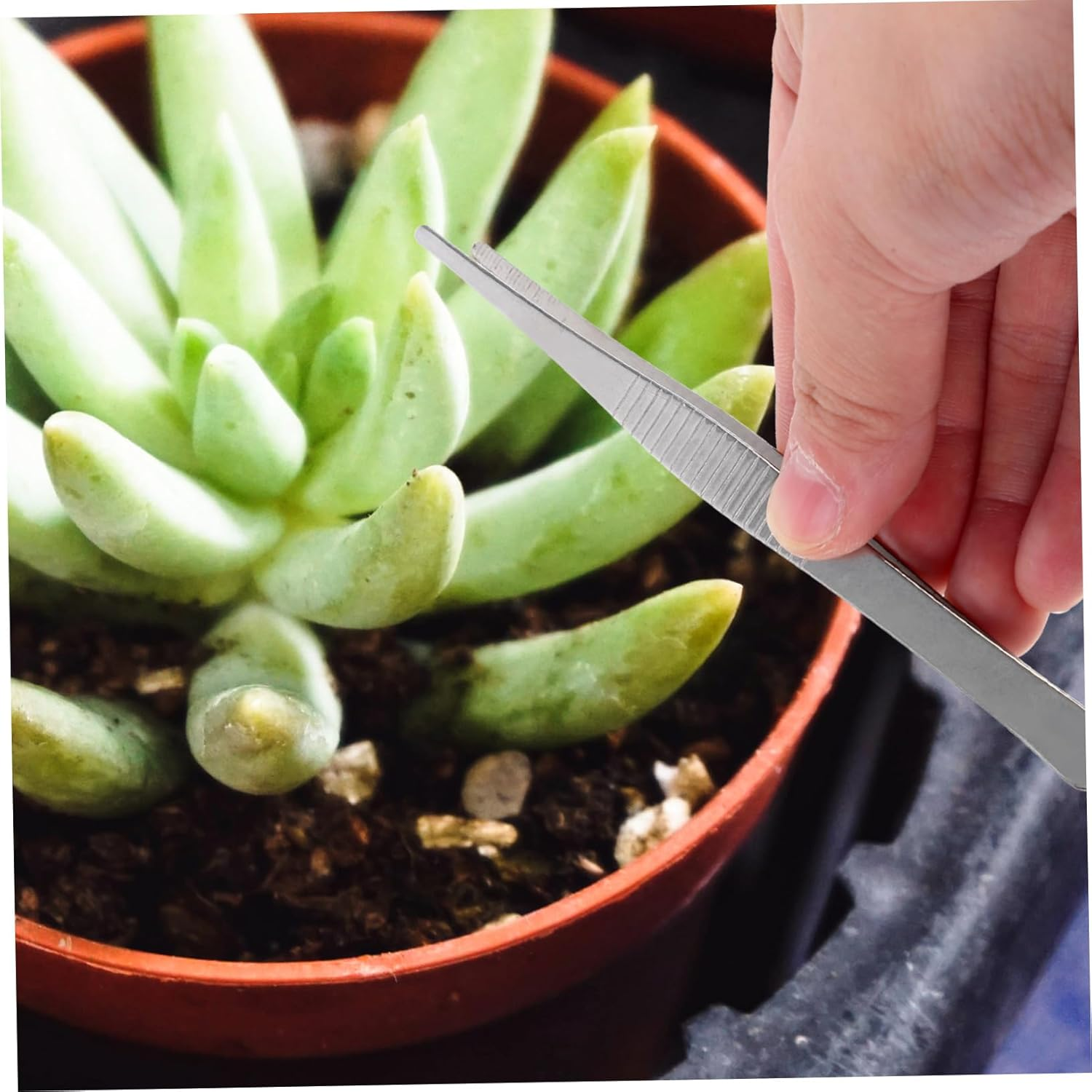 FONDOTIN 4Pcs Stainless Steel Succulent Tweezers Long Handled Gardening Tools for Planting Weeding in Garden Tweezers image number 2