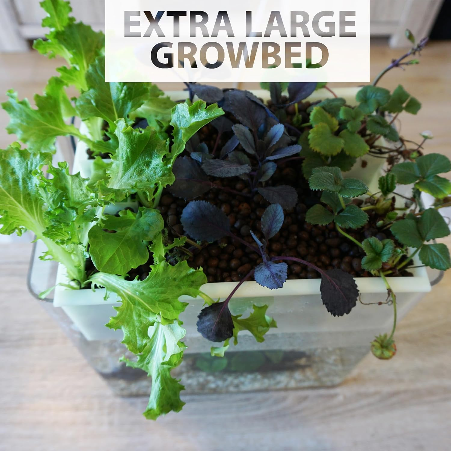 Naturepon Fish Garden Aquaponics Kit - Self-Cleaning Aquarium with Automatic Watering for Organic Herbs, Fruits, and Vegetables - Sustainable Greenhouse Indoor Gardening for Families and Kids