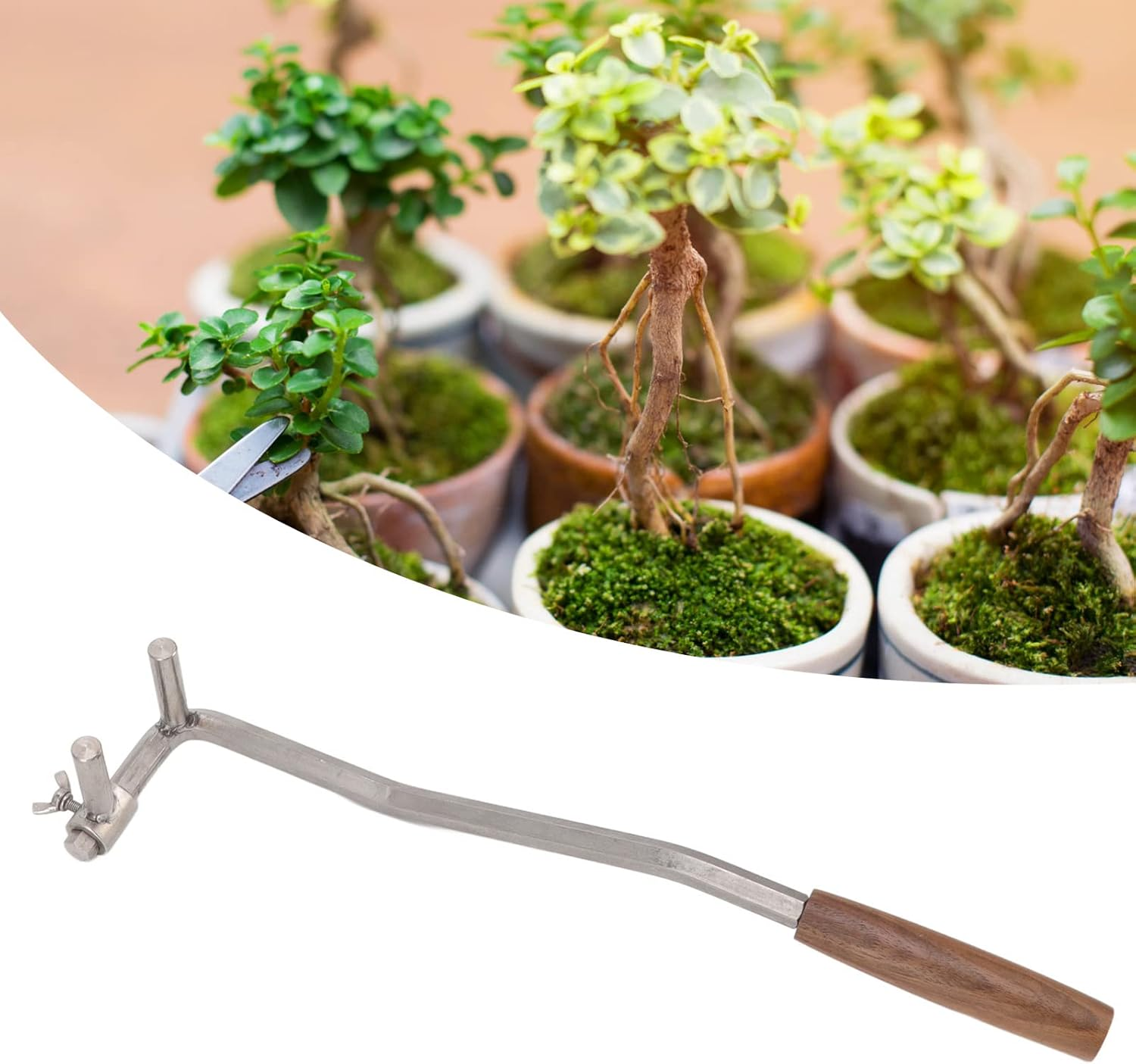 Bonsai Bender, Stainless Steel Bonsai Branch Bending Tool Professional Labor Saving with Comfortable Handle for Garden (M12) image number 6