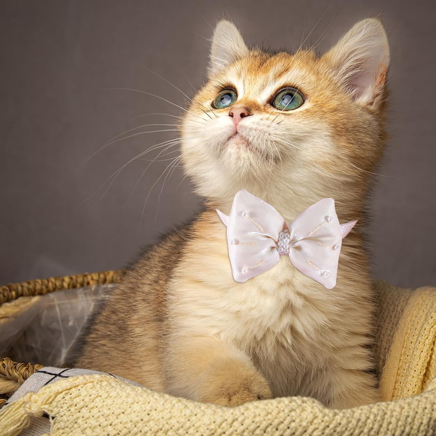 PLUSHCEWT Bow Cat Collar Pet Pearl Bow Collar Double Satin Soft Kitten Collars Quick Release Safety Cat Collars Elegance Adjustable Cats Collar ((White)) image number 3