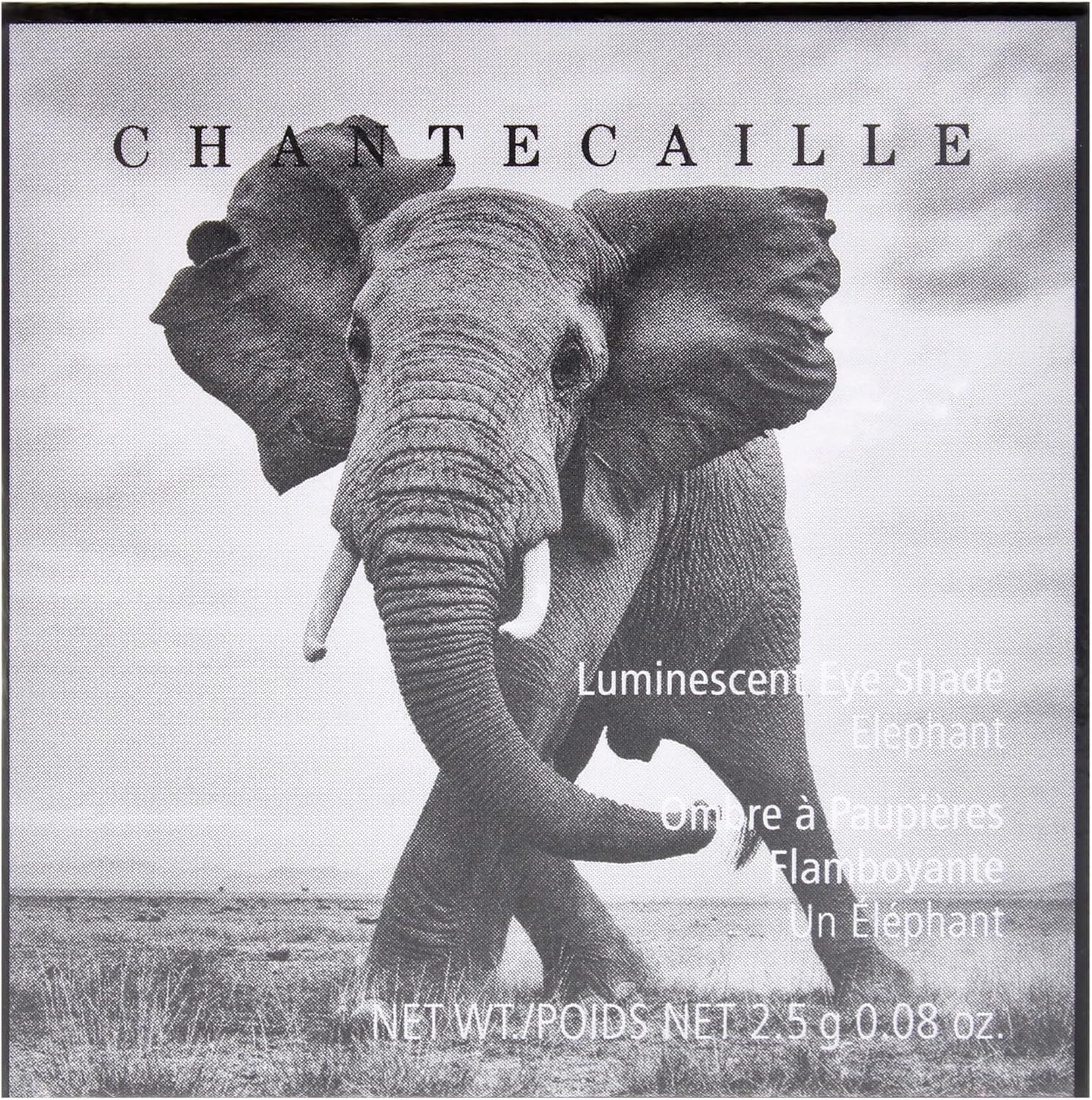 Luminescent Eye Shade - Elephant by Chantecaille for Women - 0.08 Oz Eye Shadow image number 1