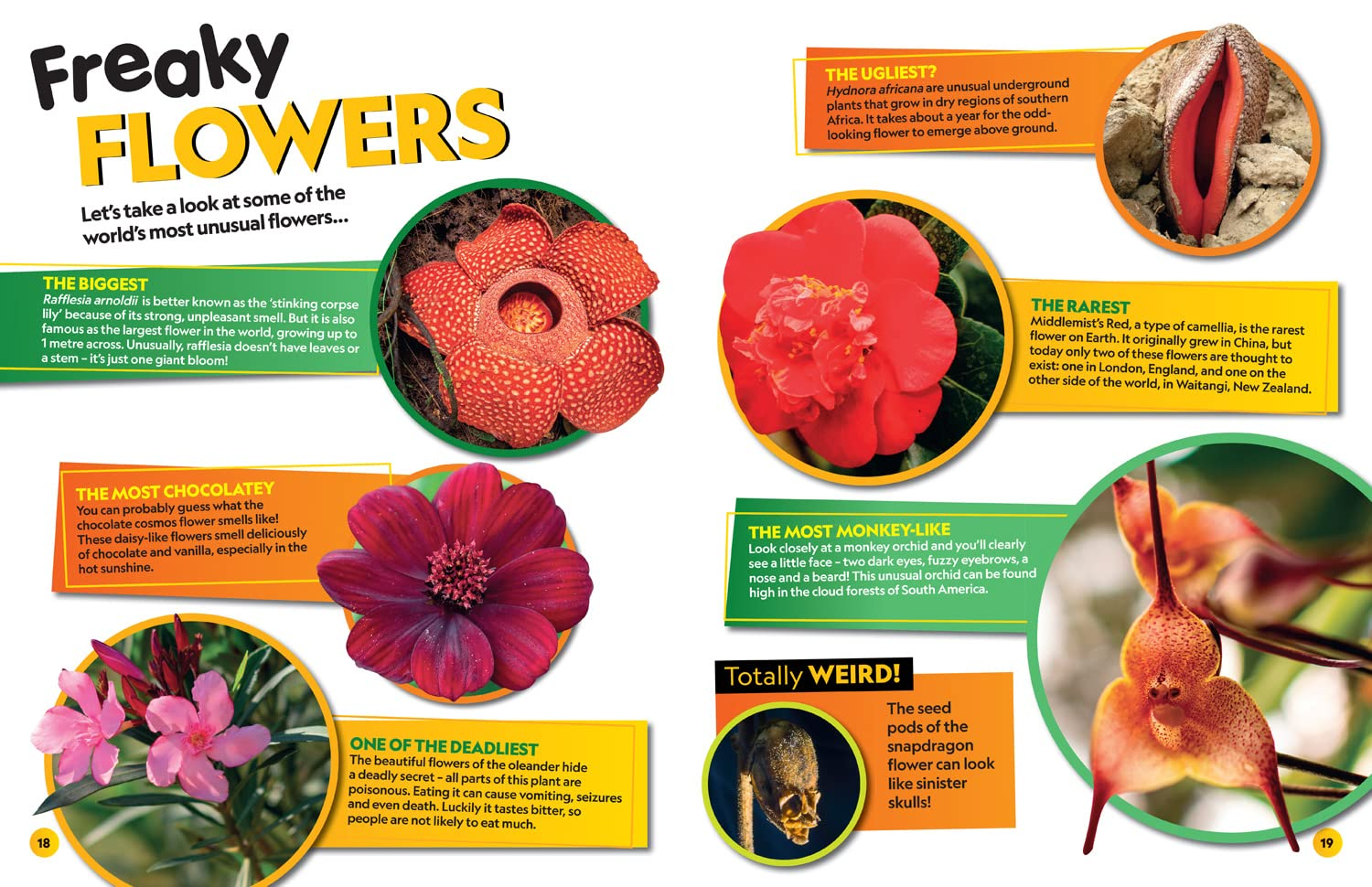 National Geographic Kids - Weird but True! 2023: Wild and Wacky Facts & Photos! image number 2