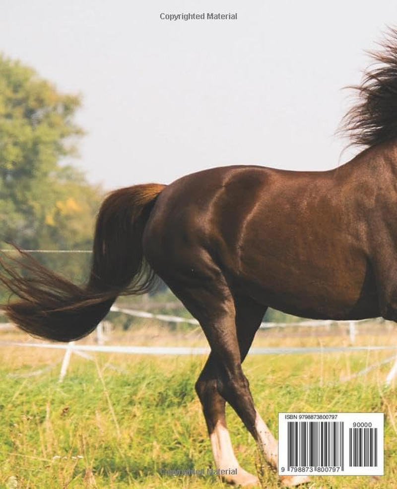 Beginner'S Guide to Horse Riding Mastery: Unleash Your Inner Equestrian: a Step-By-Step Guide to Mastering the Art of Horse Riding
