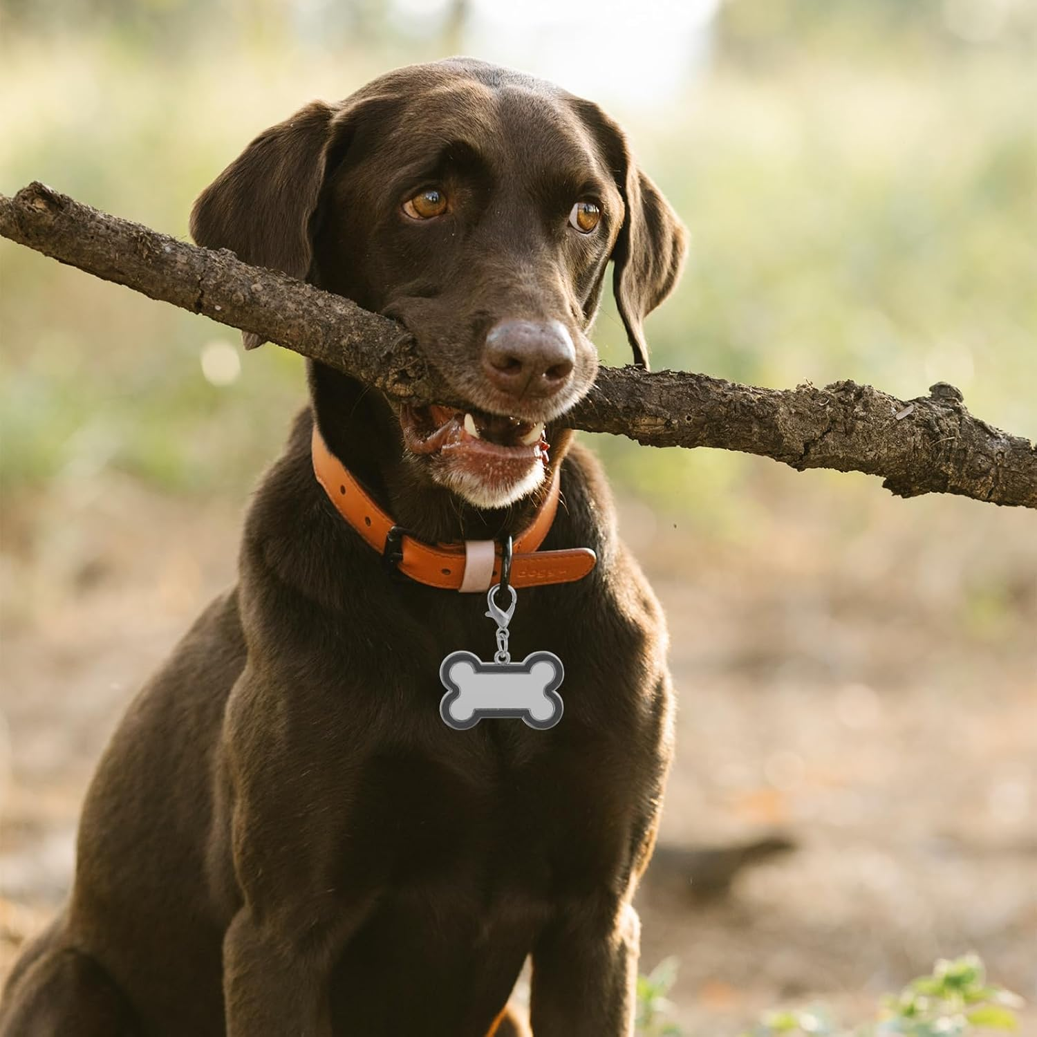 LUOZZY 4 Pcs Sublimation Blank Dog Tags Heat Transfer Puppy Kitten Tags Pendent Blank Craft Pet Tags Supplies - Black image number 4