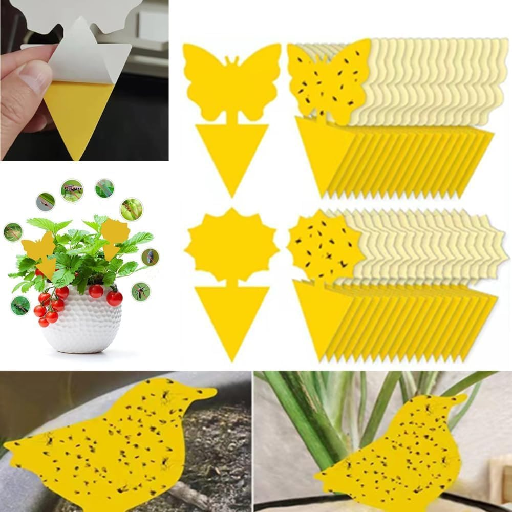 Sticky Fly Traps,Plant Fly Stickers,Caasfooy 100Pcs Flying Insects Traps,Sticky Bug Traps Fungus Traps for Plants Kitchen Indoor and Outdoor,Mosquitos, Dual-Sided Yellow Insect Catcher image number 1