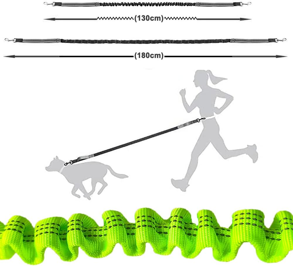 Aiqeer Green Hands Free Dog Leads, Adjustable Waist Belt and Retractable Bungee Leash, Jogging Dog Leash with Reflective Stitching (Grey Handle) image number 2