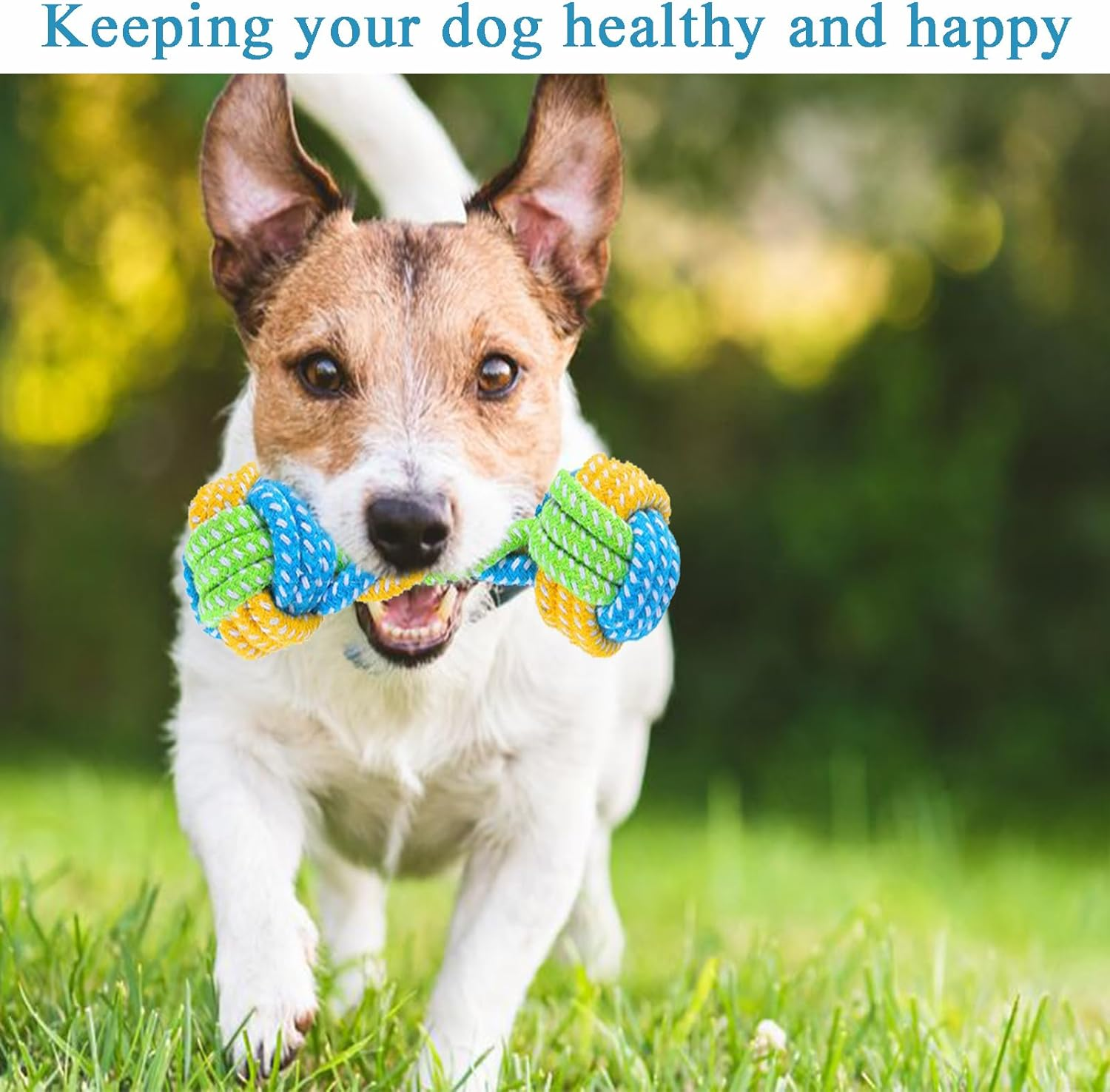 Dog Toys for Aggressive Chewers,13 Pack Dog Chew Toy,Teething Toys for Puppies,Medium,Durable Chew Toys for Small,Medium Dogs,Puppy Chew Toys,Indestructible Dog Rope Toys,Dog Squeaky Toys image number 3