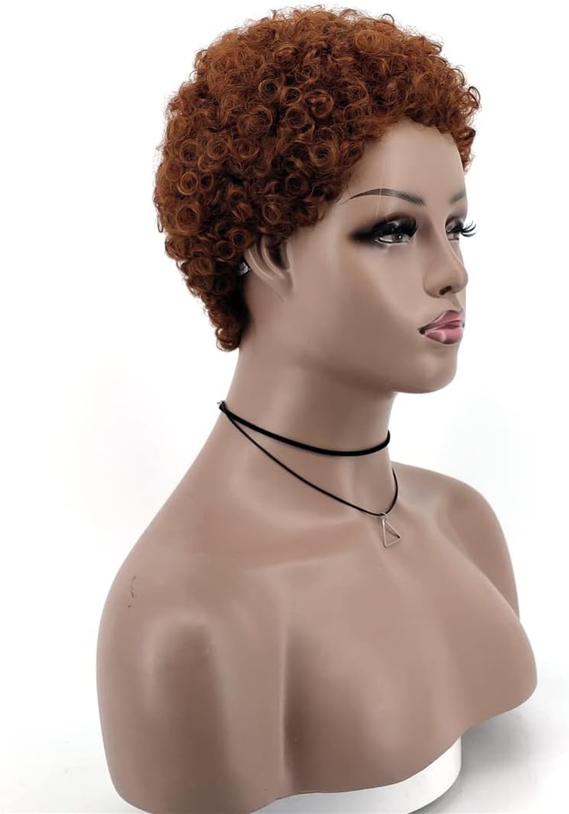 Wigs for Black Women Brown Short Afro Curly Synthetic Wig Natural Glueless Heat Finger Waves Costume Party Wig Black image number 1