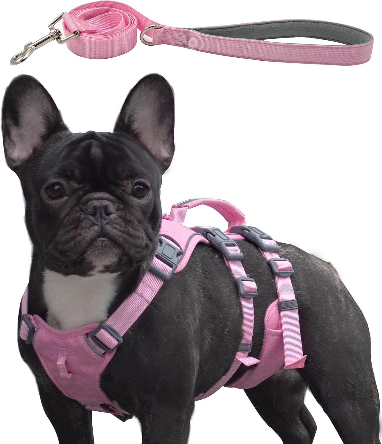 Escape Proof Dog Harness and Leash Set, Lightweight Dog Harness with Lift and Assist Handle, No Pull Reflective Pet Vest for Small Medium Dogs, Ideal for Puppy Walking and Training (Blue, XS)