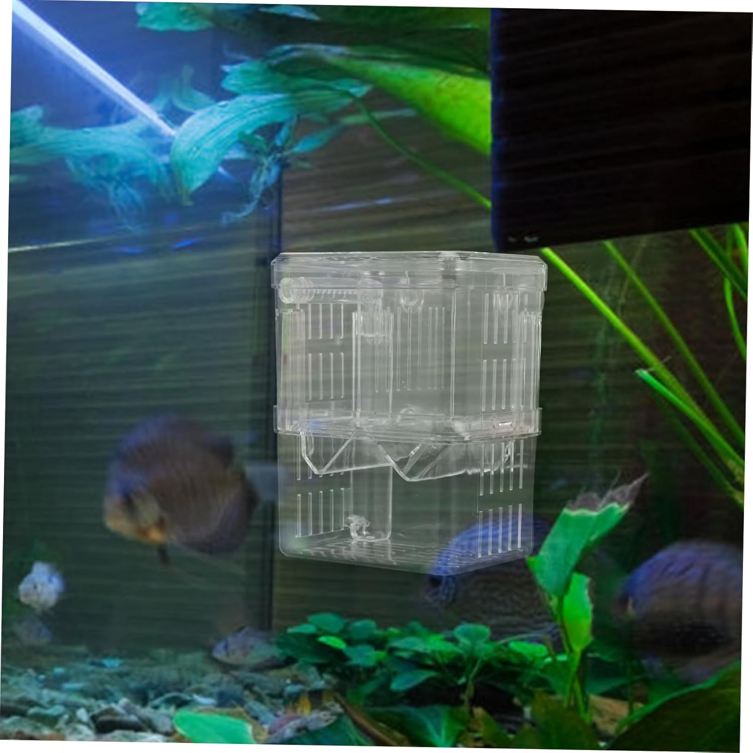 BUGUUYO Aquarium Fish Breeding Box with Transparent Design Double Layer Incubator for Fish Shrimp Betta Compact Isolation Hatchery with Cups for Aquatic Pets image number 3