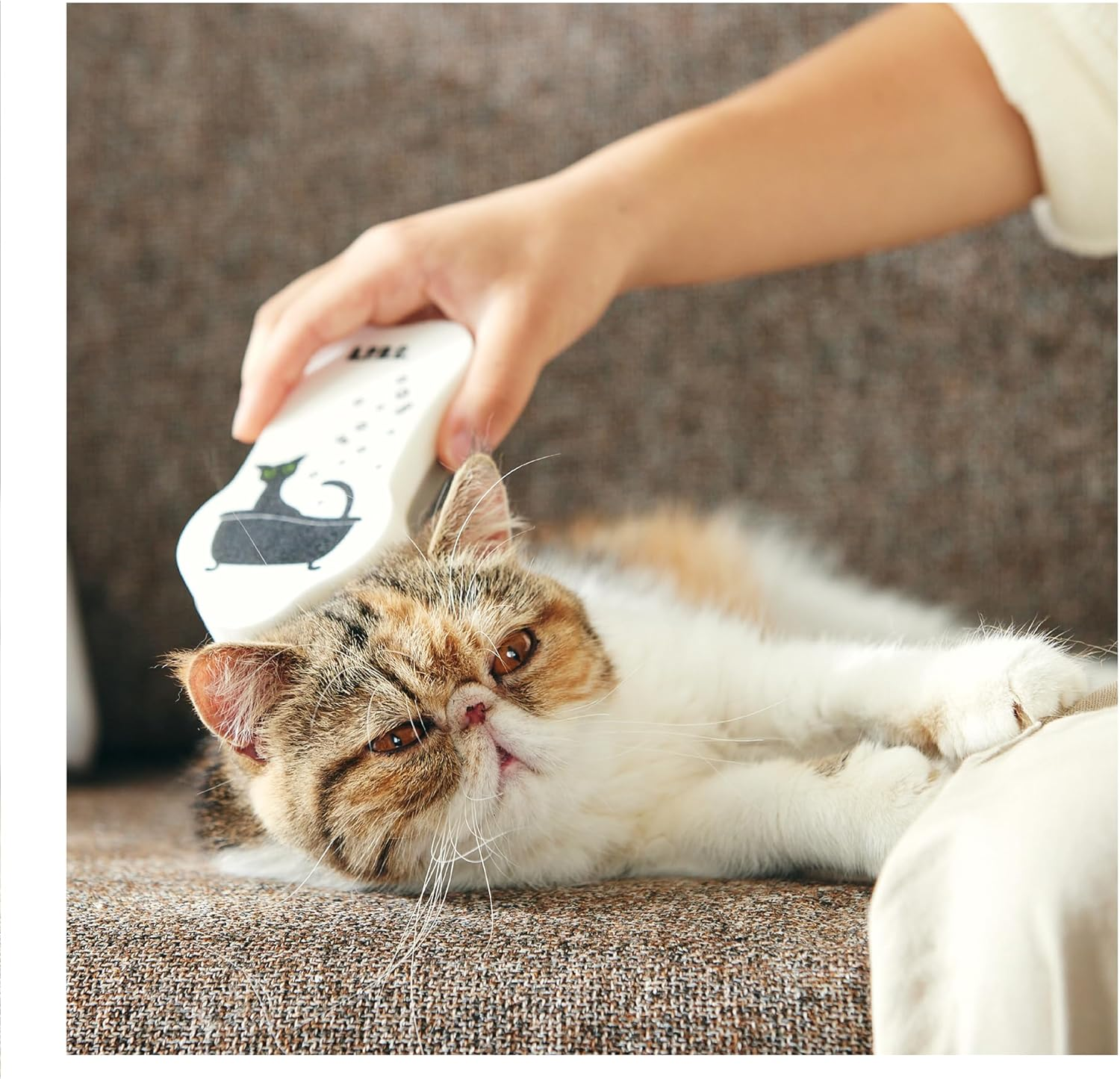 A.P.D.C. Cat Body Brush image number 4