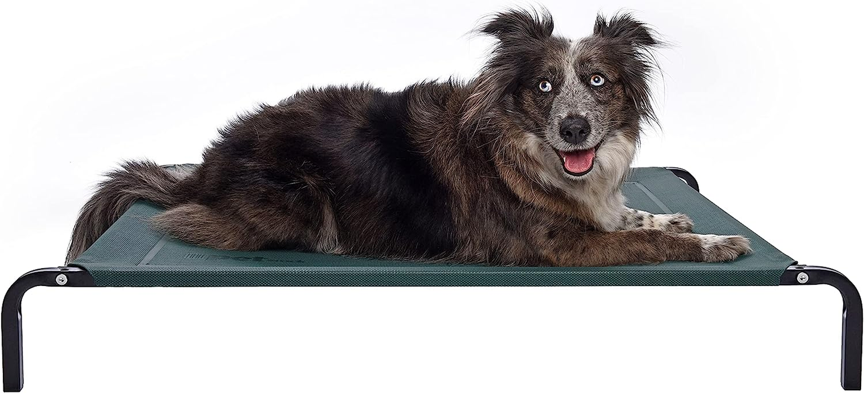 Flea Free Elevated Dog Bed (Medium) 106X63X15Cm / Black/The Original Fleafree Brand image number 1