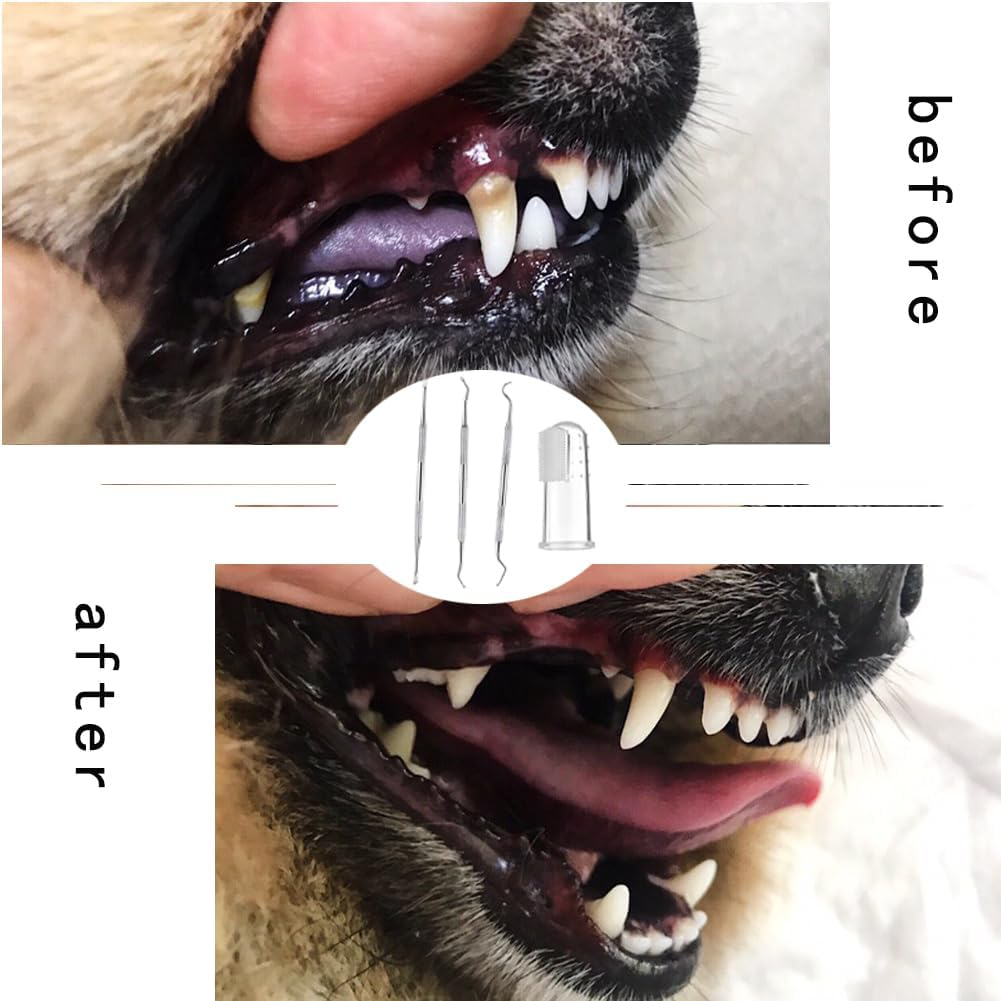 Tartar Remover Set for Dogs and Cats, Dog Tartar Remover Set, 3 Pieces Tartar Remover for Dogs, Tooth Cleaner for Animals, Dog Scaler Tartar Remover, Tartar Remover Dog image number 2