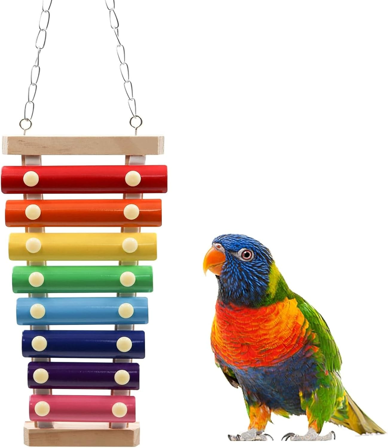 Cozioz Colorful 8-Note Bird Xylophone Toy - Hanging Musical Toy with Metal Keys for Parrots, Cockatiels, Budgies & Small Birds | Fun Cage Accessory to Stimulate Play & Mental Enrichment