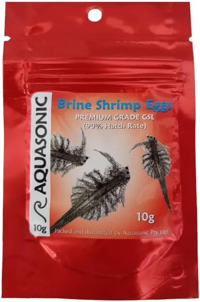 Aquasonic Brine Shrimp Eggs 10G in Natural Colour - Packed with Proteins, Lipids, and Unsaturated Fatty Acids for Optimum Fish Health - Ideal for Keeping Your Fish Healthy and Hearty