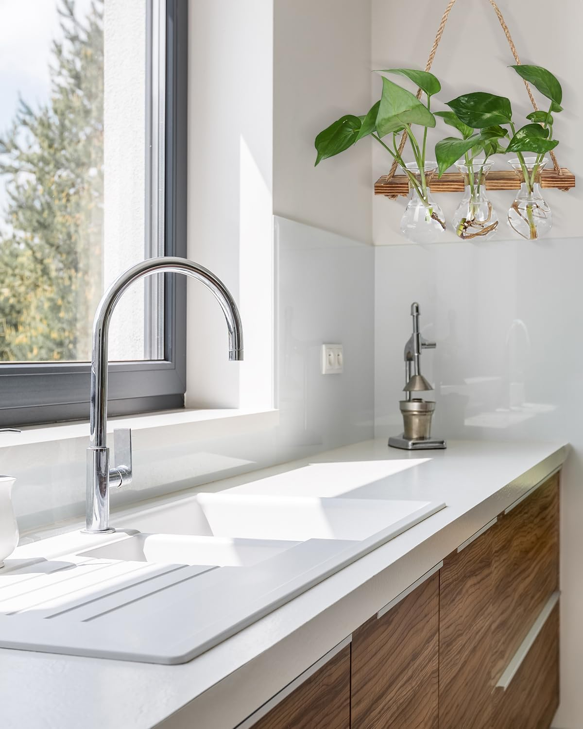 Wall Hanging Planter for Indoor Plants - Unique Propagation Stations with 3 Glass Bottles, Wall Planters for Home Decoration, Hanging Plant Holder and Hanger. image number 2