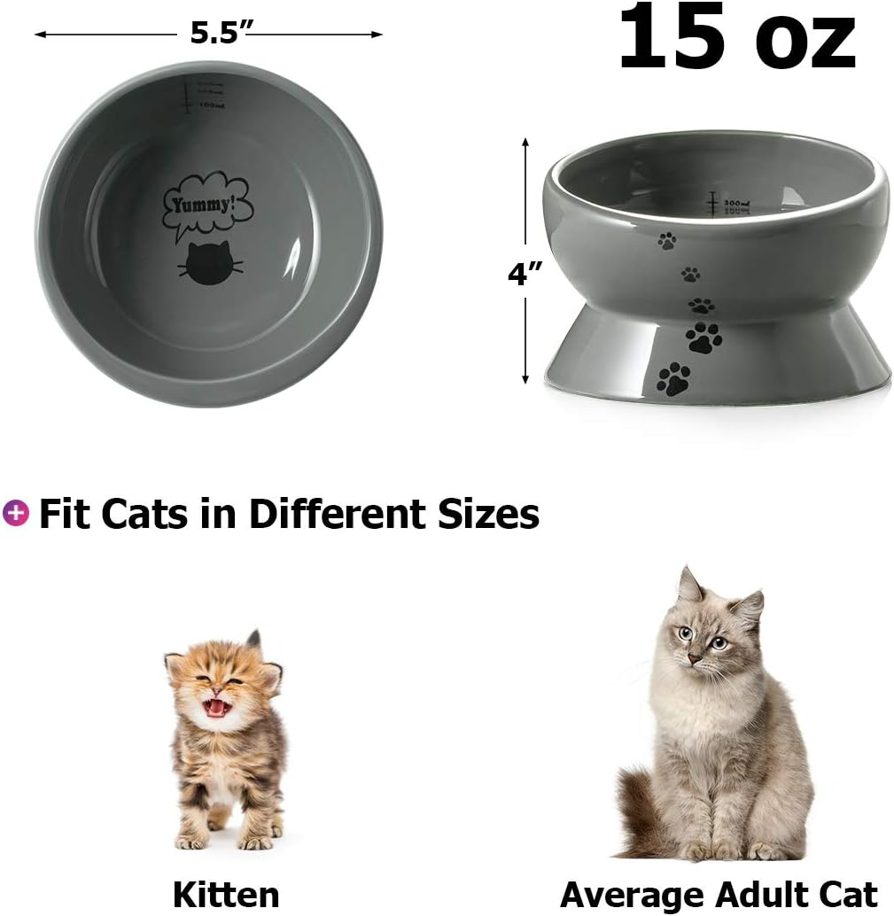 Y YHY Elevated Cat Food Bowl, Raised Pet Food and Water Bowl, Ceramic, 15Oz image number 1
