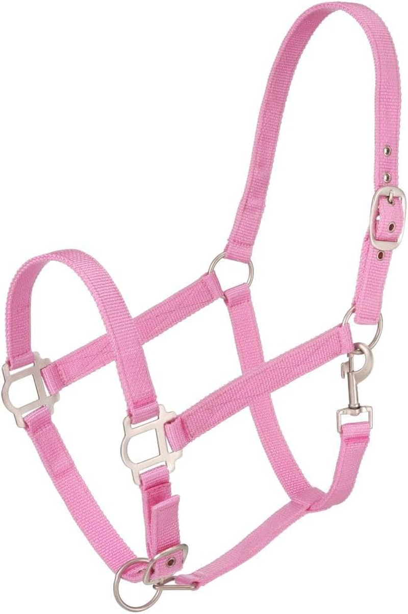 Tough 1 Tough-1 Nylon Halter with Satin Hardware image number 2