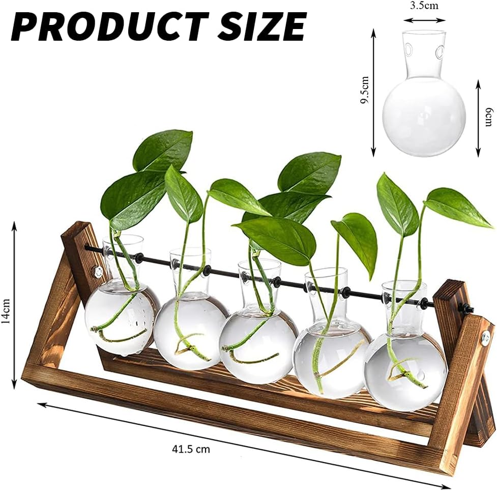 TOMVAES Creative Hydroponic Plant Stand,Glass Desktop Planter,Bulb Vase, Plant Propagation Station, for Hydroponics Plants Office Hotel Garden Home Decor,5 Hyacinth Vase image number 2