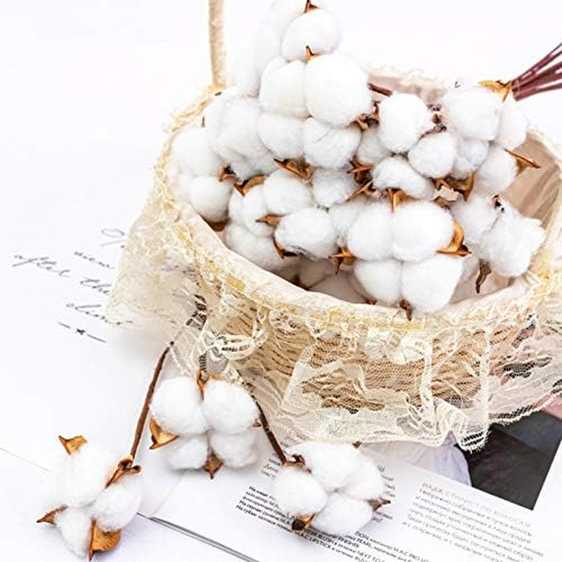 Tegg Cotton Boll 20PCS Natural White Cotton Balls Dried Cotton Pods for Crafting Farmhouse Style image number 4