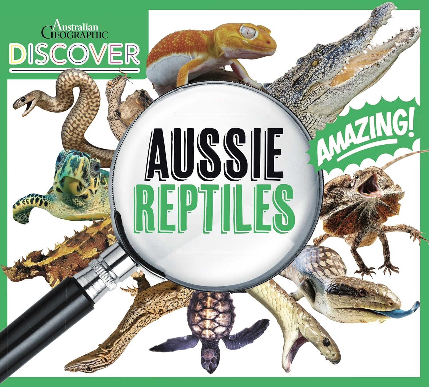 AG Discover: Aussie Reptiles image number 1