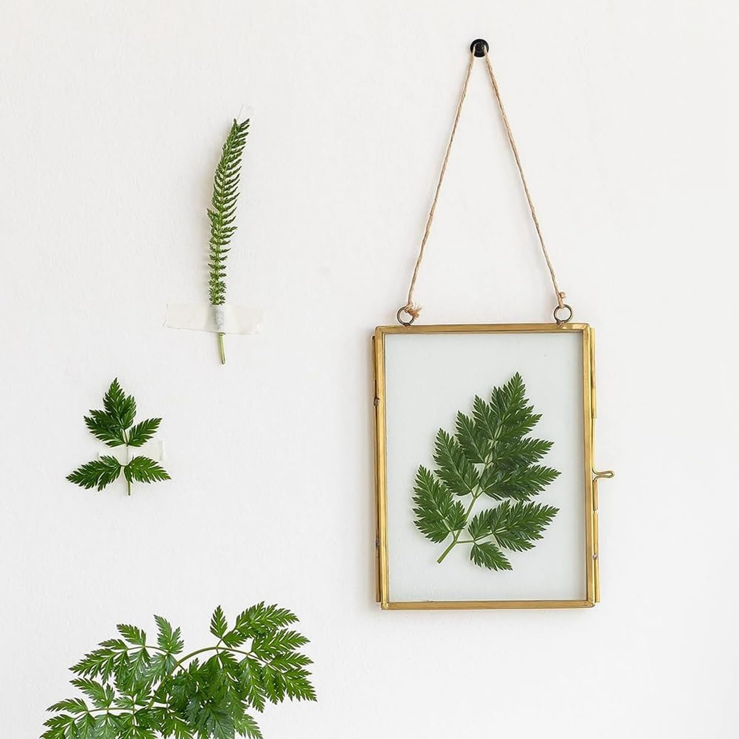 Xinghonyac 30 Pcs Double Headed Picture Hanging Nails, Double Headed Nails, Thumb Tacks for Wall, Picture Photo Frame Small Head Hanging Nails, Decorative Push Pin Hooks for Home, Office, School