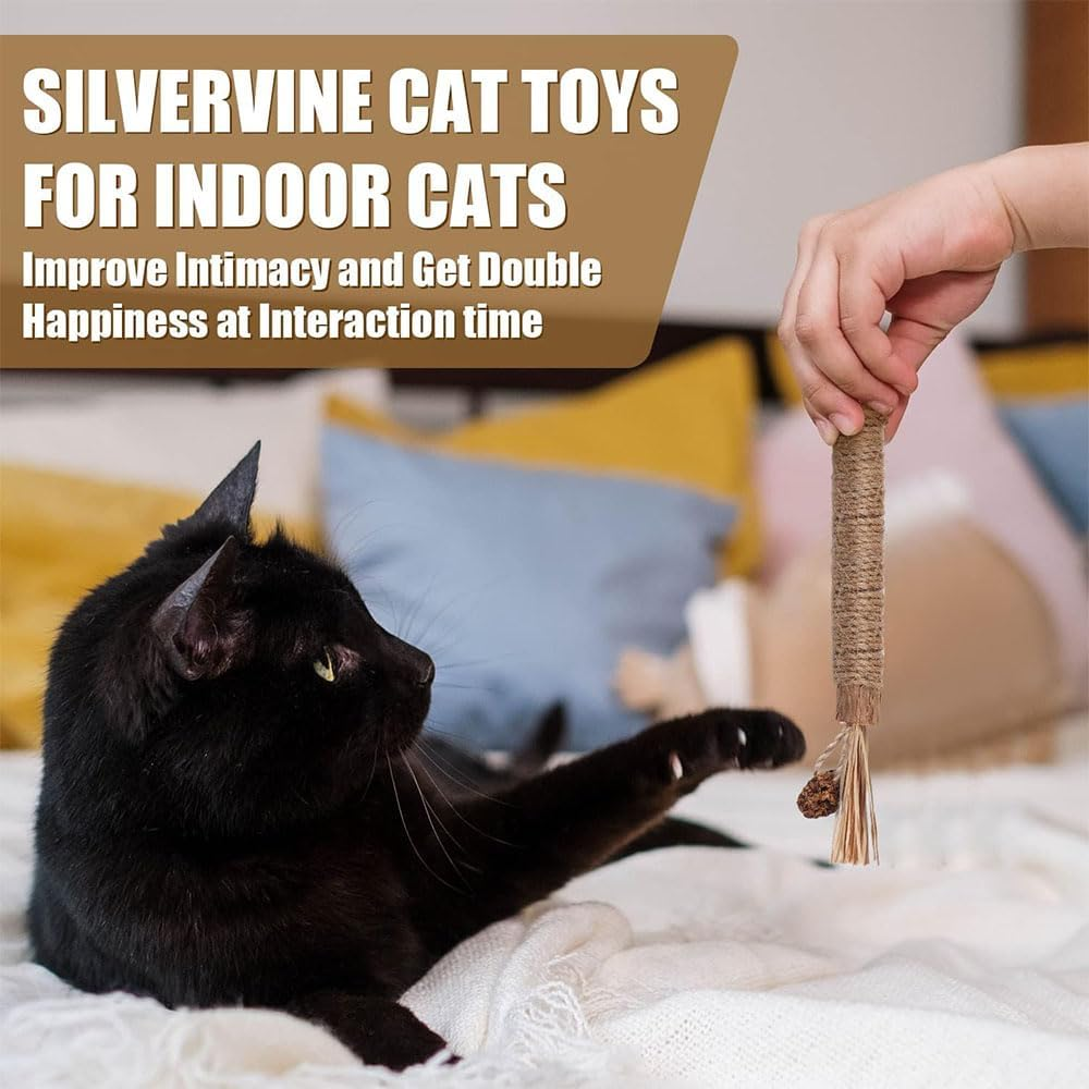 Aufondof 6Pcs Natural Silvervine Sticks, Cat Dental Chew Sticks Cat Toys for Indoor Cats Kitten Teething Toys Teeth Cleaning Toy image number 1