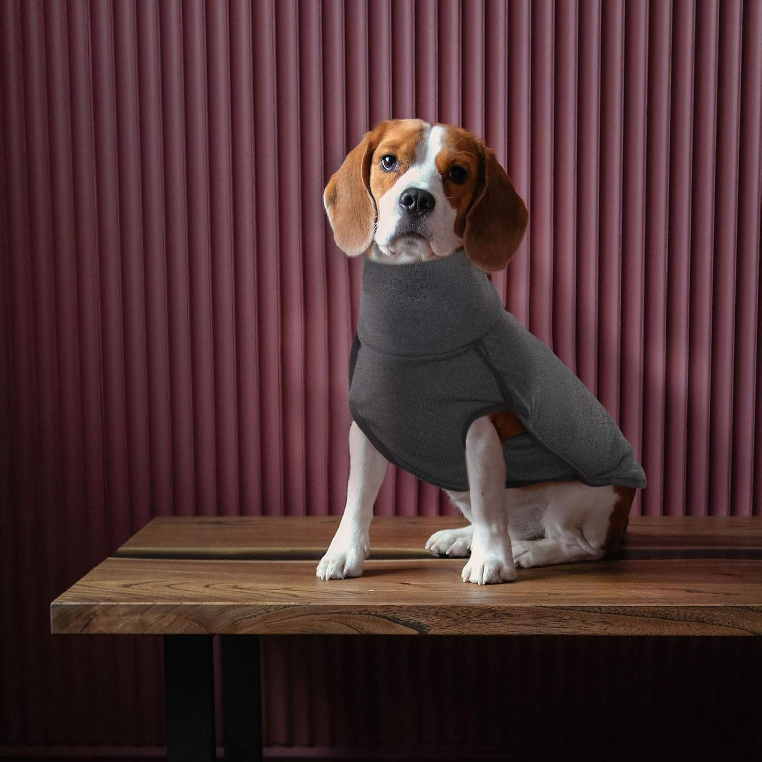 ROZKITCH Dog Winter Coat Soft Pullover Pajamas, Pet Windproof Warm Cold Weather Jacket Vest Cozy Onesie Jumpsuit Apparel Outfit Clothes for Small, Medium, Large Dogs Walking Hiking Travel Sleep Black image number 3