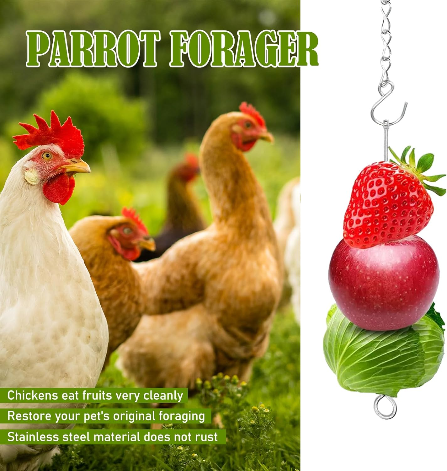 Pack of 2 Chicken Feeder for Hanging, Chicken Accessories, Toy, Fruit Fork Made of Stainless Steel for Chicken with Hook, Automatic Feeder for Chicken Vegetable Skewer, Bird Vegetable Skewer image number 6