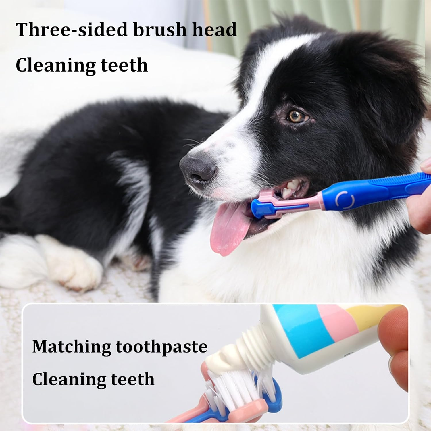 Pet Toothbrush and Toothpaste Set - Dog & Cat Dental Care Kit with Triple-Head Brush for Oral Hygiene image number 1