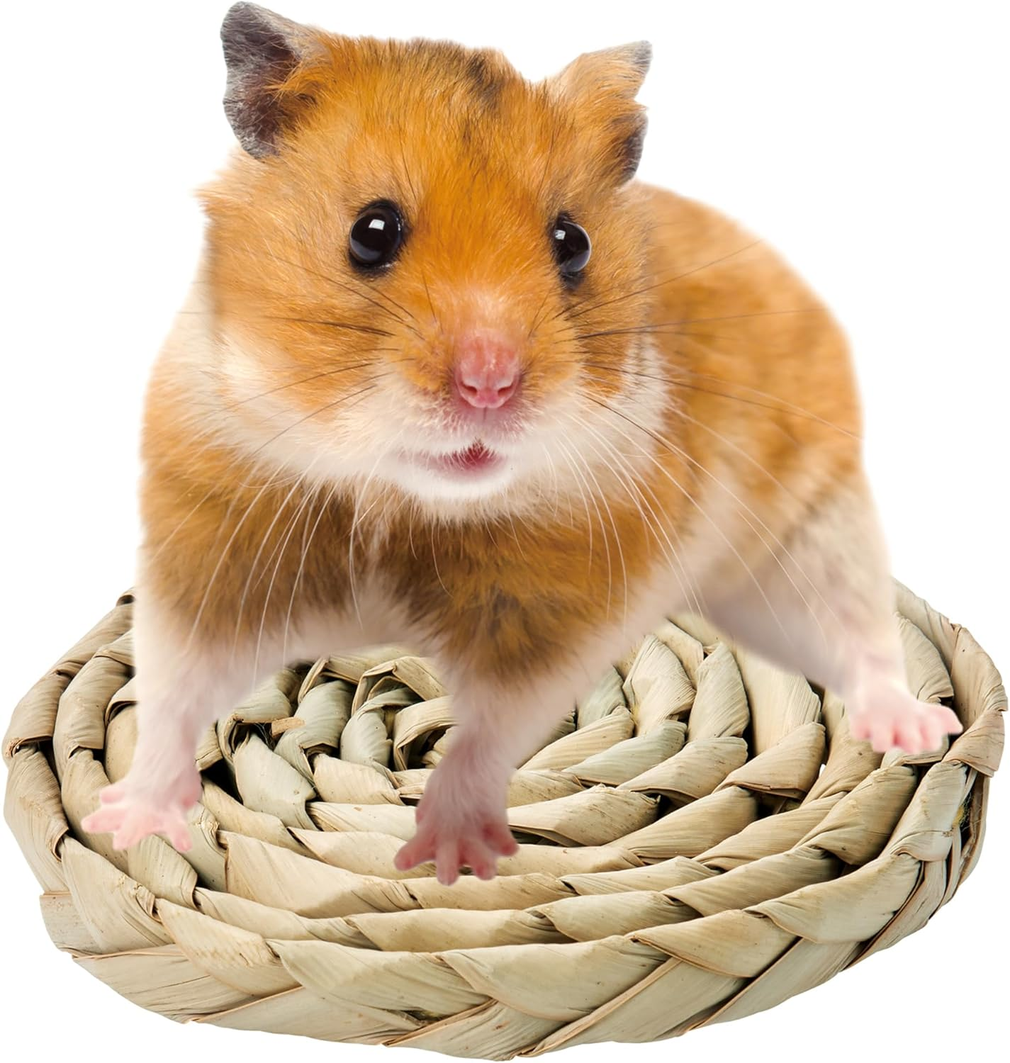 Minimal Land ML-683 Variety Disc, Ideal for Stress Relief and Teeth Care, Fits Rabbits, Guinea Pigs, Chinchillas, Hamsters