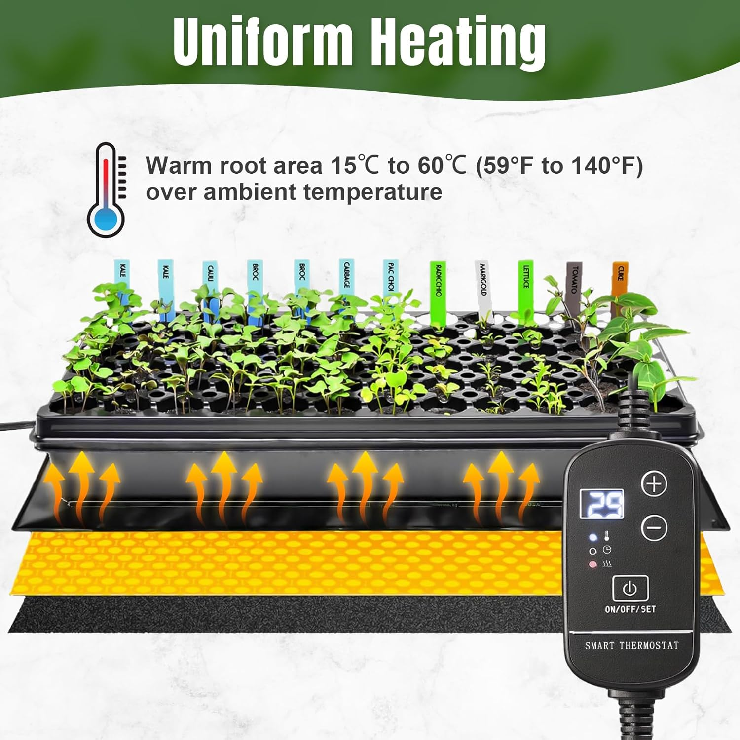 Seedling Heat Mat with Thermostat Controller, 52X25Cm Waterproof Graphene Heating Pad, 20W Hydroponics Indoor Seed Heating Mat, Digital Thermostat Control Monitor for Growing,Brewing image number 5