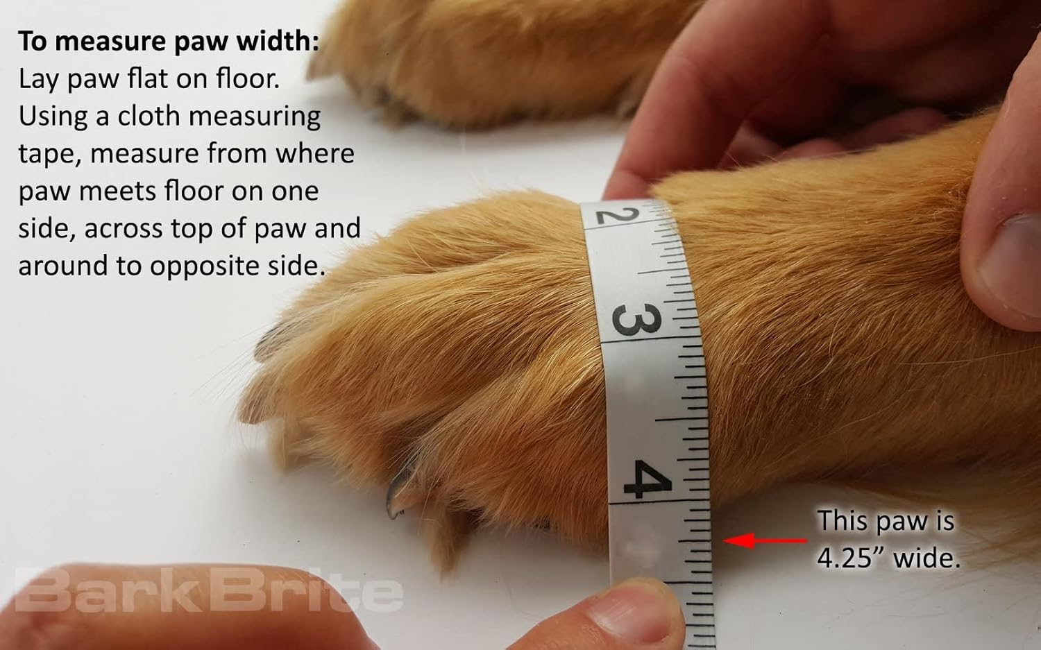 Bark Brite Lightweight Neoprene Paw Protector Dog Boots Designed for Comfort and Breathability in 5 Sizes (Lavender Md)