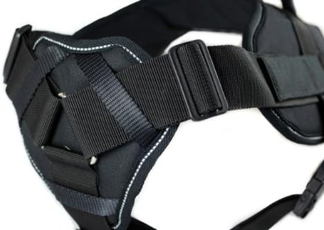 Dean & Tyler Black with Reflective Trim Fun Dog Harness with Padded Chest Piece, on Duty, X-Large, Fits Girth Size 34-Inch to 47-Inch image number 1