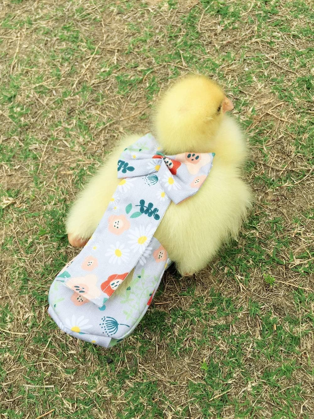 Poultry Diapers - Waterproof, Adjustable, Washable and Reusable for Chicken, Duck and Goose - Poultry Supplies (9Xl:4000G-5000G) image number 5