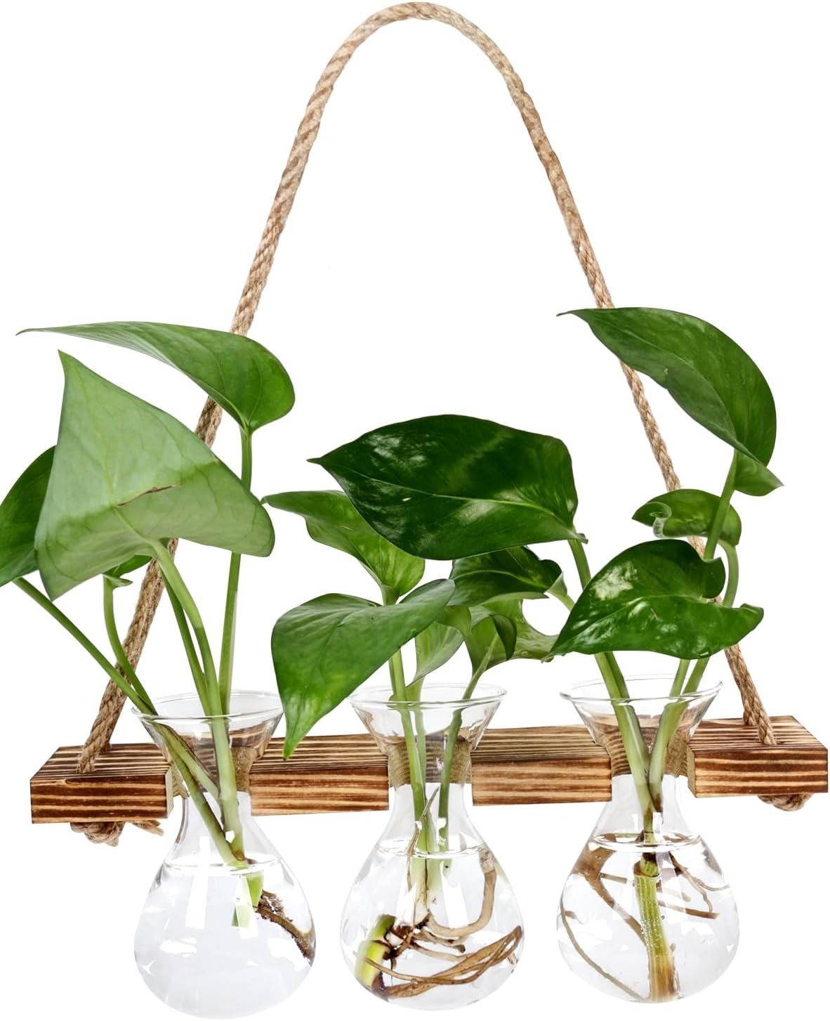 Wall Hanging Planter for Indoor Plants - Unique Propagation Stations with 3 Glass Bottles, Wall Planters for Home Decoration, Hanging Plant Holder and Hanger. image number 4