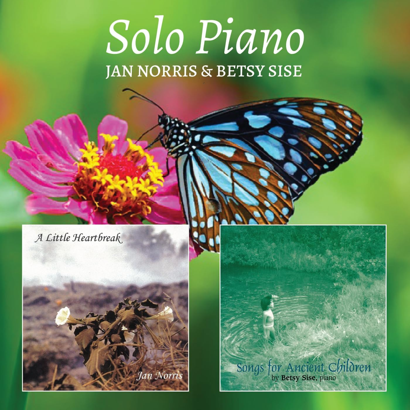Solo Piano (2CD)