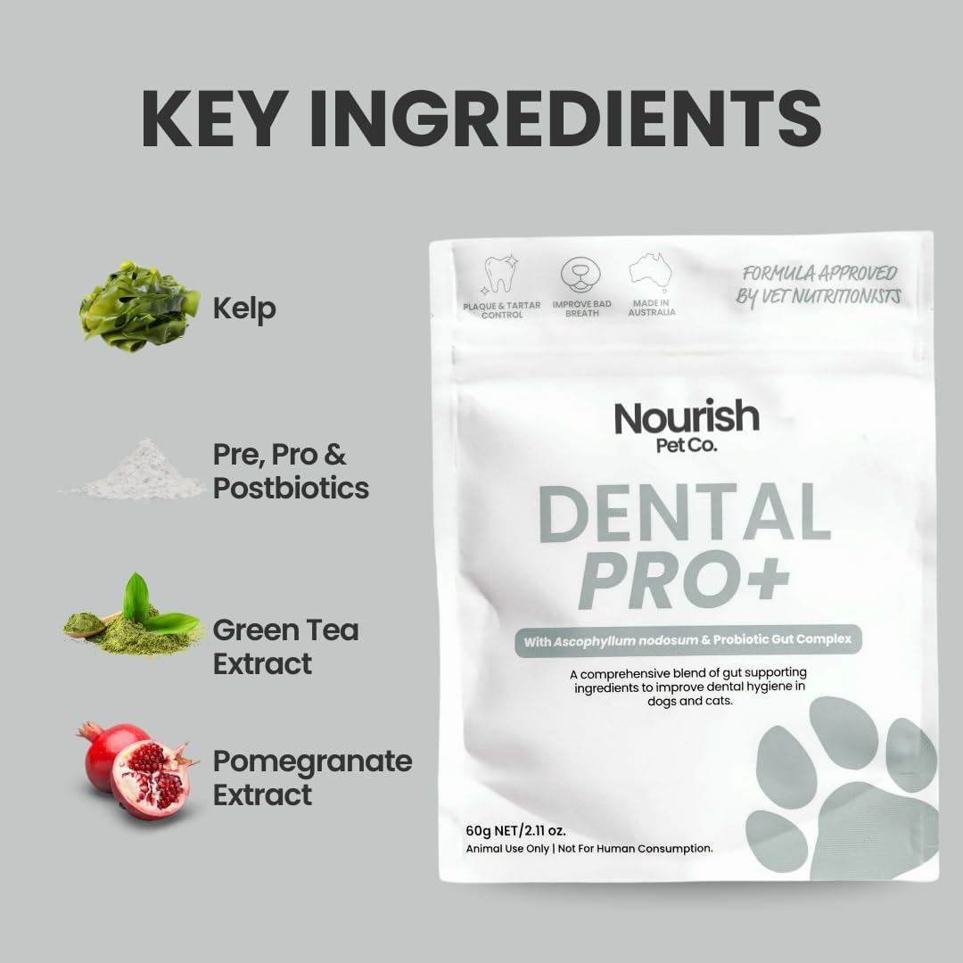 Nourish Pet Co. Dental Pro+ Pet Dental Powder, Cat & Dog Teeth Cleaning Powder, Breath Freshener, Fights Plaque and Tartar, Natural Ingredient Food Topper, 60G image number 2