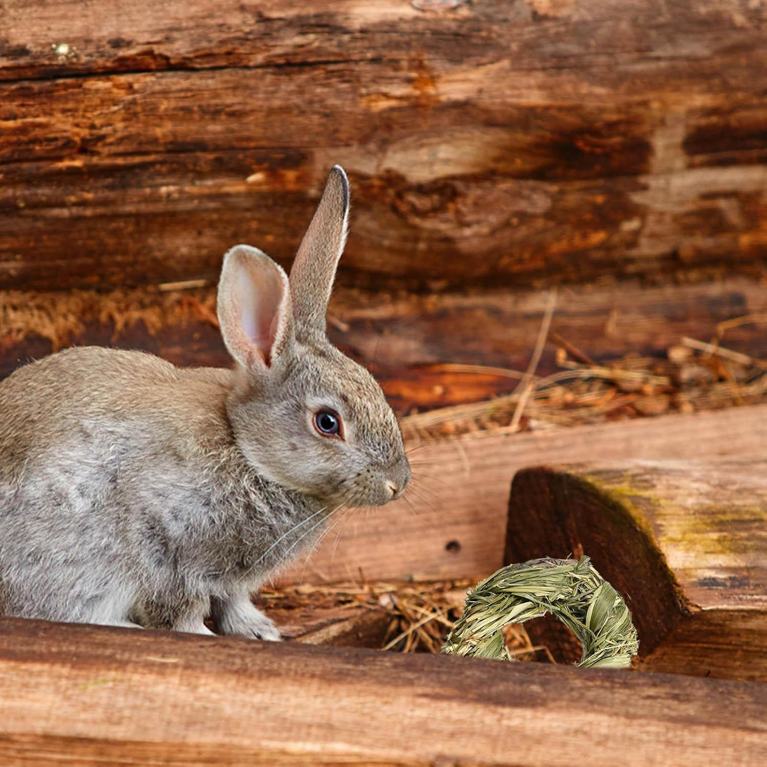 Toys for Rabbits - Activity Toys for Small Animal - Grass Balls Carrot Teething Toys for Gerbils, Guinea, Dwarf Bunny, Pet Cage Entertainment - Grass Ring image number 5