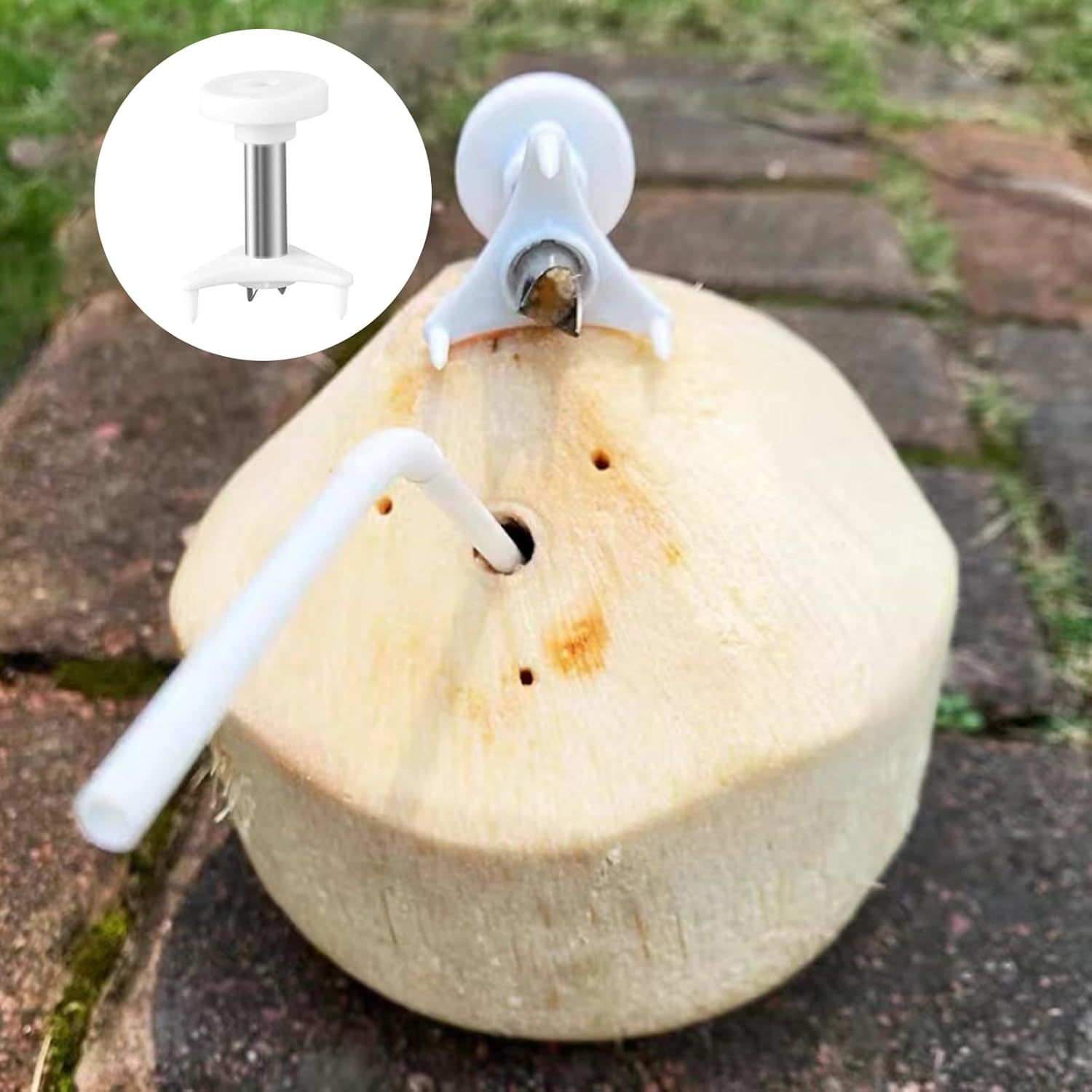 Duoduole 4 Pcs Coconut Opener Tool Stainless Steel Coconut Hole Punchers Coconut Tool Easy to Open Coconut Hole Punchers image number 6
