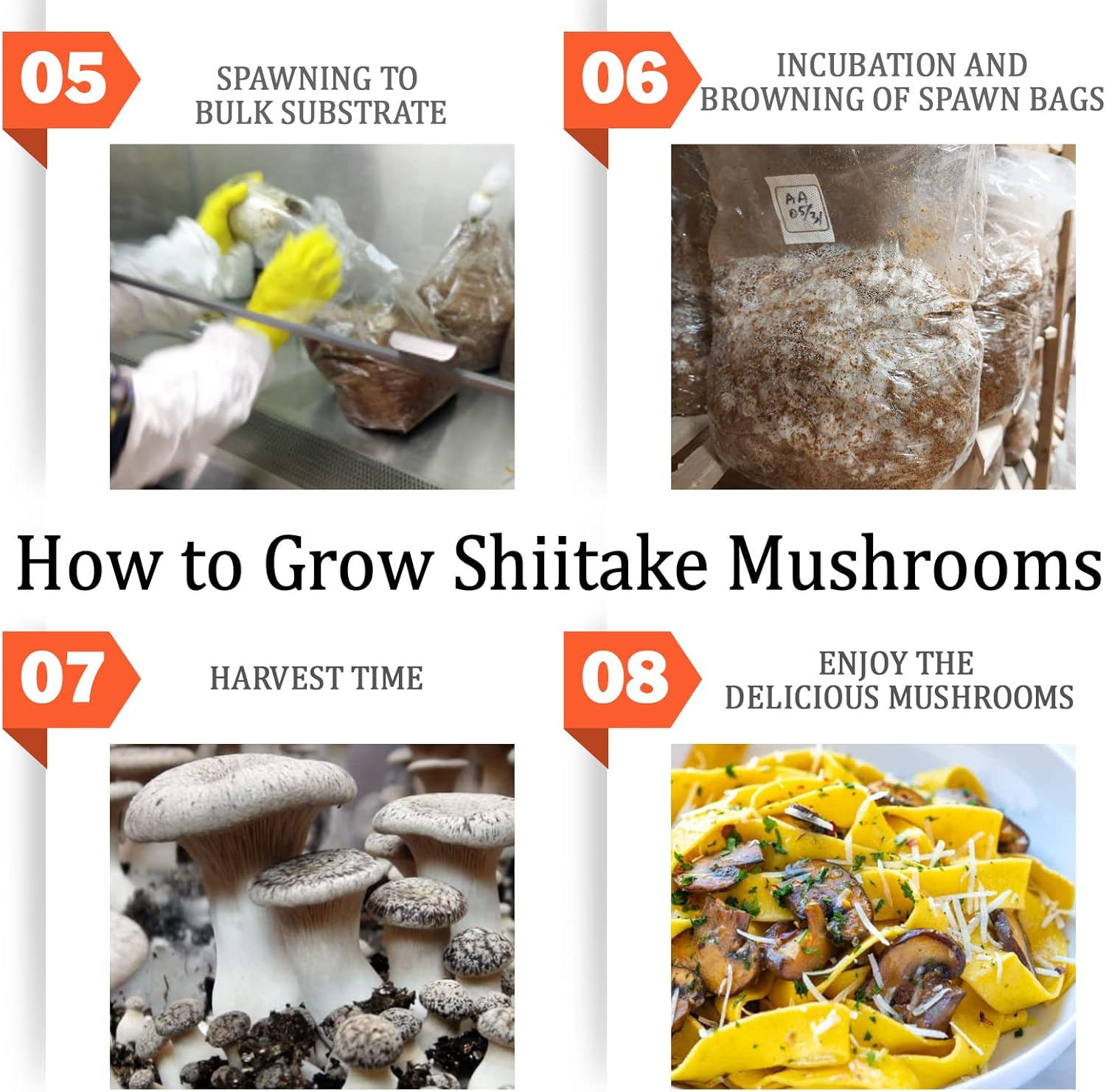 ZHANXUBIO Mushroom Jar Lid, Wide Mouth, Reusable, Green, Polypropylene, 12 Pack