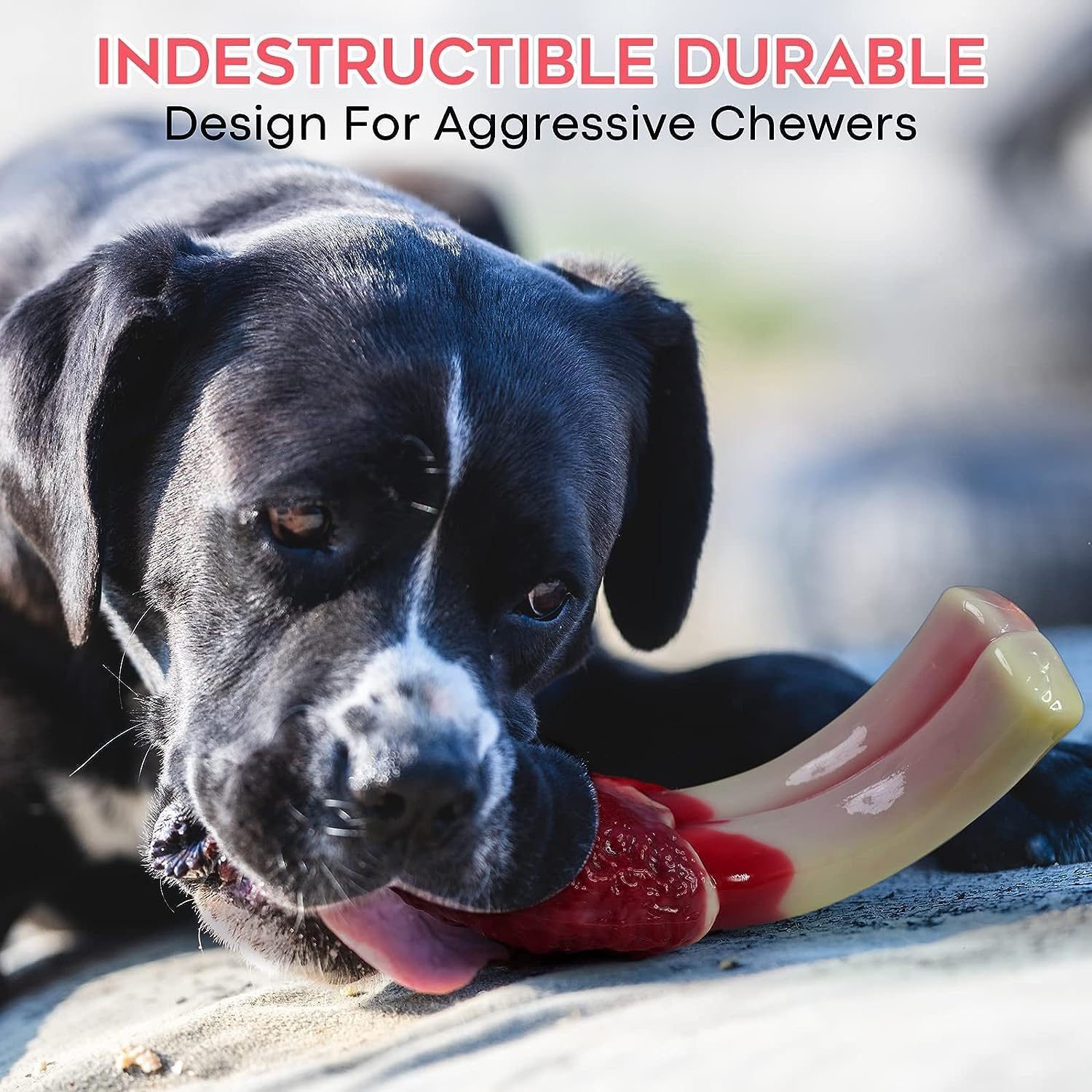 Wikiray Dog Chew Toy for Aggressive Chewers &ndash; Durable Nylon Bone with Bacon Flavour &ndash; Tough & Interactive Dog Toy for Medium & Small Dogs (Up to 12Kg) image number 1